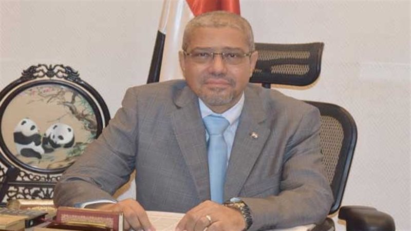 المهندس ابراهيم العربى