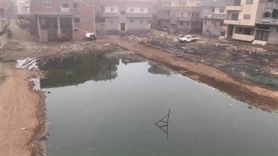 قرية الجميزة بالغربية تغرق في مياه الصرف الصحي.. والأهالي: الوحدة بتدي مسكنات