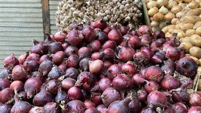 أسعار الخضروات اليوم الأربعاء 10-11-2021 في مصر