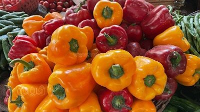 أسعار الخضروات اليوم الأربعاء 17-11-2021 في أسواق الجملة