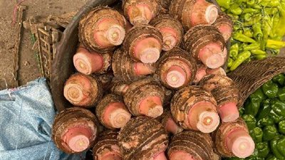 أسعار الخضروات اليوم الثلاثاء 16-11-2021 في أسواق الجملة