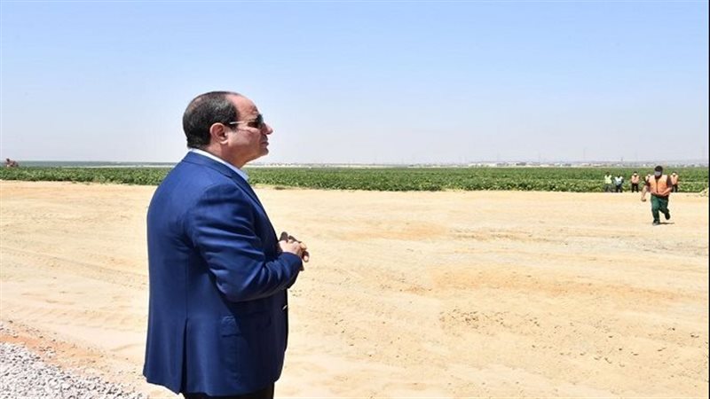 الرئيس السيسي 