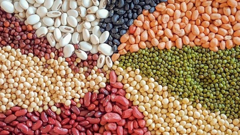 أسعار البقوليات 