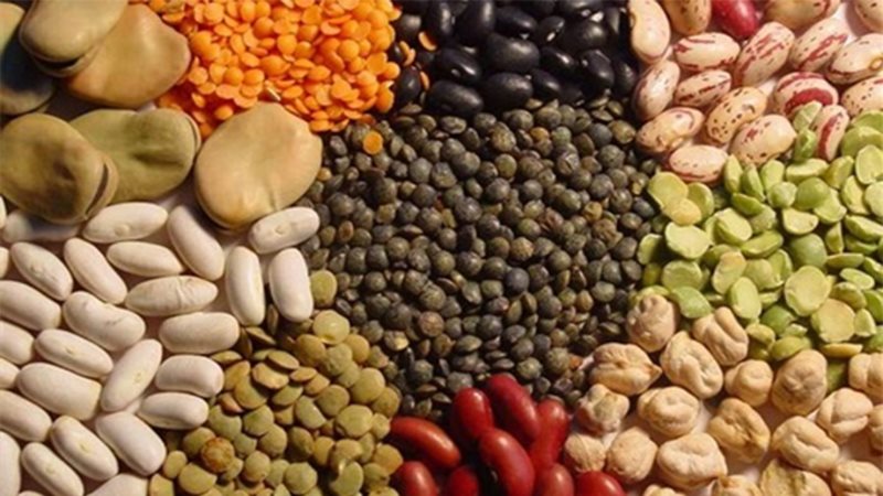 اسعار البقوليات اليوم