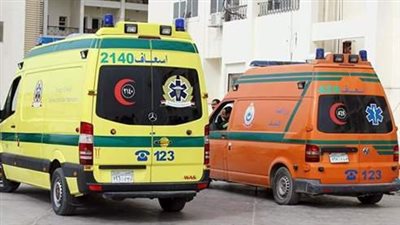 مصرع مدرس وإصابة 3 من أفراد أسرته في حادث بالدقهلية 