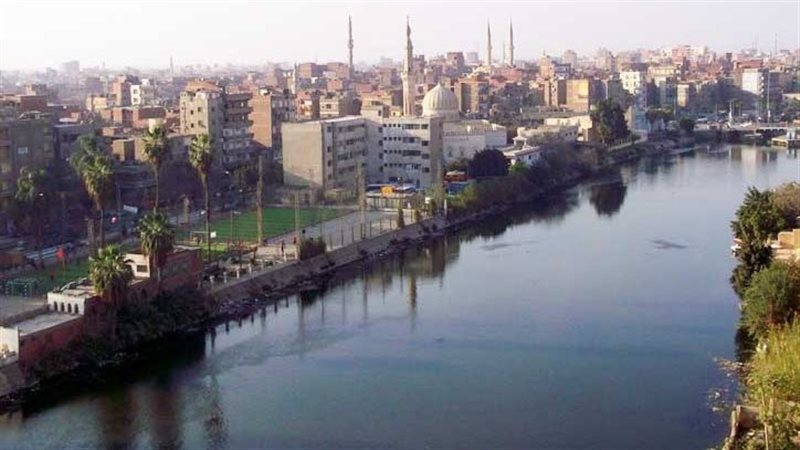 المنوفية