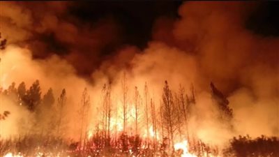 فرنسا: إجلاء 3 آلاف شخص من منازلهم بسبب حريق الغابات في أفيرون