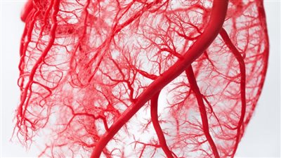 أستاذ أوعية دموية يوضح إرشادات العناية بالقدمين لمرضى الشرايين الطرفية