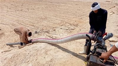 إزالة تعدٍ على 25 فدان أرض أملاك للدولة ببني سويف