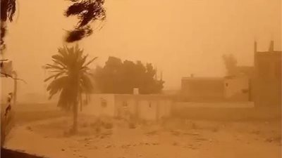 عاصفة ترابية وأمطار غزيرة تضربان محافظة أسوان | فيديو