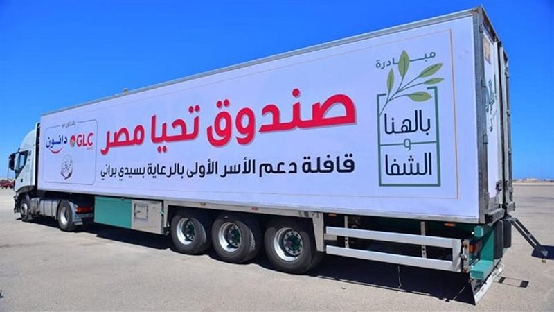 صندوق تحيا مصر 