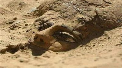 الشرطة الفلسطينية تضبط مئات القطع الأثرية في نابلس