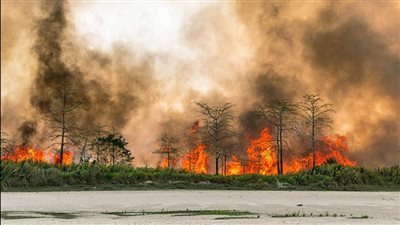 إبادة البشرية.. 4 كوارث تهدد العالم في 2022
