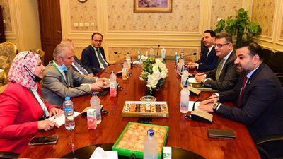 حقوق الإنسان بالبرلمان: مصر لم تتوان يوما عن نصرة القضية الفلسطينية