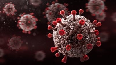 مدير قصر العيني يكشف تكلفة علاج كورونا بالأجسام المضادة | فيديو