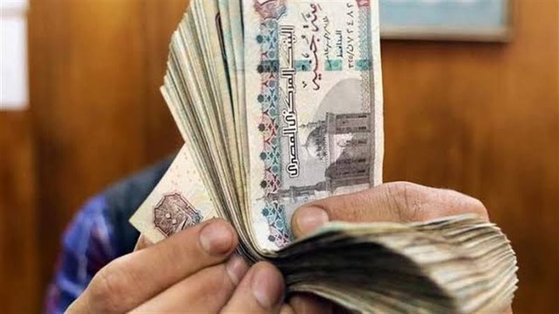 موعد صرف زيادة الرائدات