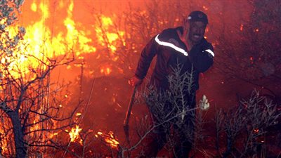 حرائق الجزائر.. الحكومة تكشف الجناة وتقيم صلاة الغائب على الشهداء| فيديو