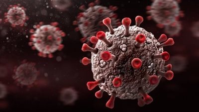 رئيس قسم الصدر بقصر العيني: فيروس كورونا تم تخليقه في الصين