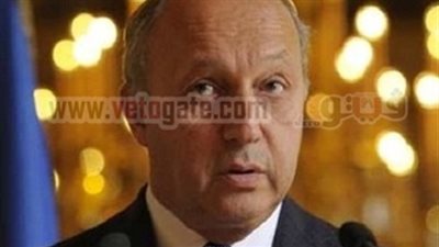 فرنسا: على السلطات المصرية المنتخبة الاستماع للشواغل المشروعة للشعب