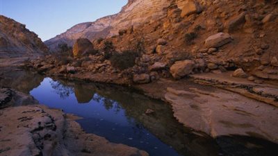 بالفيديو والصور.. السيول الشديدة تعيد الحياة لنهر جاف في فلسطين
