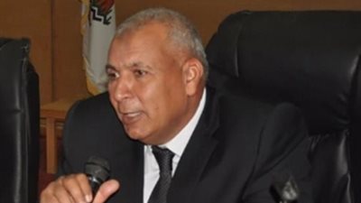 مخاطبات لاعتماد الوادي الجديد محافظة حدودية بدلا من نائية