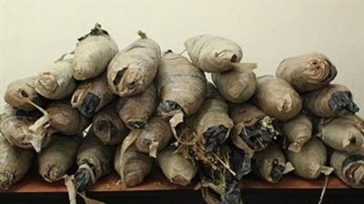 ضبط 5 كيلو بانجو بحوزة شخص بالقليوبية