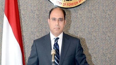 «الخارجية»: اجتماع «شكري والمغازي» لمناقشة مفاوضات سد النهضة