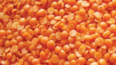 12.5 جنيهًا للعدس الأصفر ببورسعيد.. اليوم