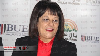 بالفيديو.. إسكندر: 12 مليون جنيه من البيئة تدعيمًا للقرى الأكثر احتياجًا