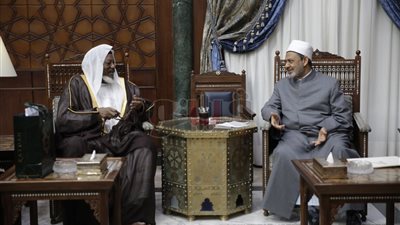 مفتي نيجيريا: الأزهر يسهم بقوة في مواجهة الجماعات الإرهابية بأفريقيا