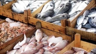 أسعار الأسماك اليوم 29 / 3 / 2019.. والبلطي يسجل 26.50 جنيها