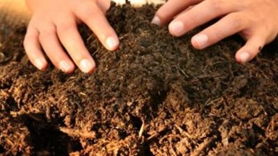 تأجير مصنع السماد العضوي بالبحيرة لشركة استثمار محلي بعد توقفه 4 سنوات