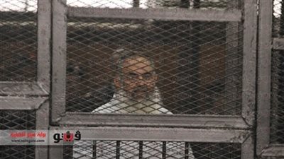 الاستئناف تستكمل نظر دعوى رد أبو إسماعيل لقاضي جنسية والدته.. غدا