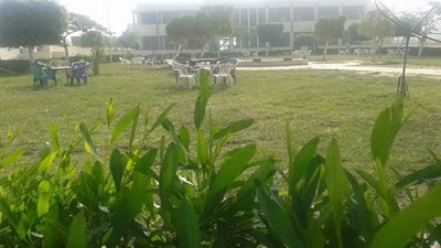 الجمعية العمومية تحدد مصير مزاد محلين بالمنيا