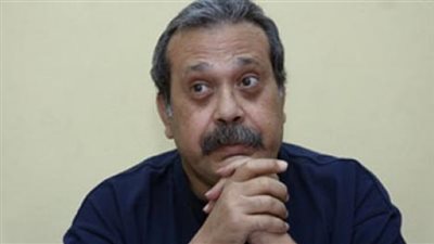 سيد الوكيل: تظاهرات الإرهابية تهدف لخلق أجواء حرب أهلية