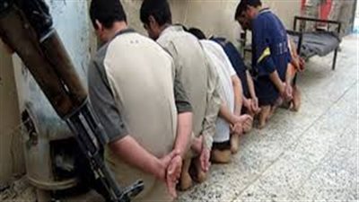 النيابة تأمر بعرض مخدر «قات» ضبط بحوزة 5 متهمين في مطار القاهرة على المعمل