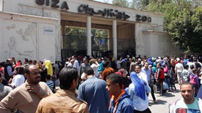 فتح حديقتي الحيوان والأورمان مجانا احتفالا بالعيد القومي للجيزة