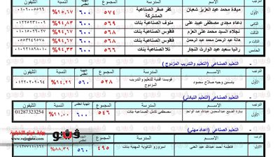 بالصور والأسماء.. أوائل الدبلومات الفنية