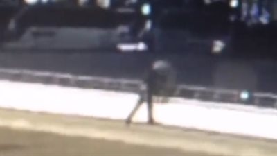 لقطات مروعة لرجل يرمى عروسة من فوق جسر (فيديو)