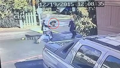 بالفيديو والصور.. شاهد ماذا فعلت فتاة في كلب حبيبها بسبب خلاف بينهما