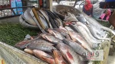 أسعار الأسماك اليوم 31/ 3/ 2019.. وكيلو البلطي بـ29 جنيها