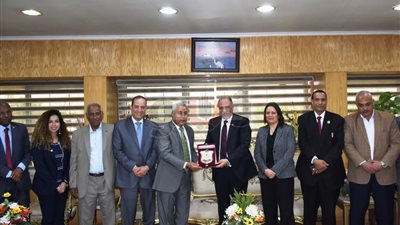 مشكلات الإسكان المميز بأسوان أمام لجنة التضامن بالبرلمان