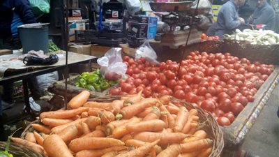 بالصور.. تباين أسعار الخضراوات وانخفاض الأسماك بسوق الجيزة