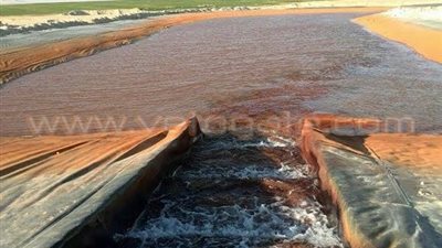 بالصور.. استعدادات الزراعة لإطلاق مشروع المليون ونصف المليون فدان