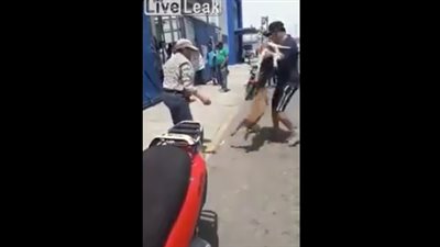 كلب بيتبول يهاجم آخر بشراسة (فيديو)