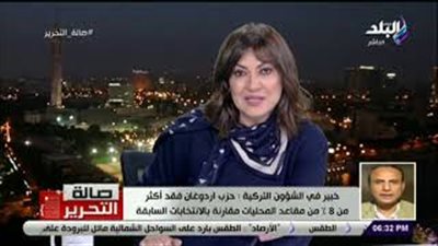 خبير في الشأن التركي: 35% انخفاضا في الليرة أمام الدولار (فيديو)