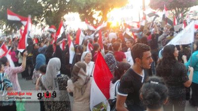 انضمام مسيرتين لمعتصمي ديوان الأقصر