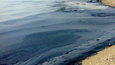 محميات البحر الأحمر: بقعة الزيت ليست خطيرة على الشعب المرجانية