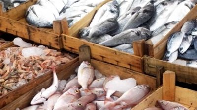 أسعار الأسماك اليوم 2/ 4/ 2019.. والبلطي بـ31 جنيها للكيلو