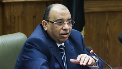 وزير التنمية المحلية يبحث مستجدات تنمية الصعيد مع البنك الدولي